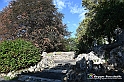 VBS_3573 - Angoli del Valentino lungo il Po